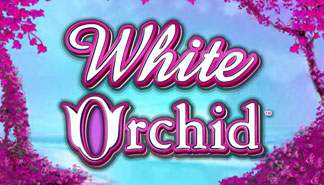 White Orchid spilleautomater IGT (WagerWorks)  topp-norsk-casino.com