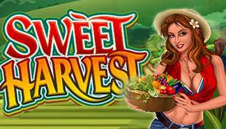 Sweet Harvest spilleautomater Microgaming  topp-norsk-casino.com