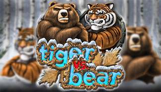 Tiger vs Bear spilleautomater Microgaming  topp-norsk-casino.com