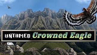 Untamed Crowned Eagle spilleautomater Microgaming  topp-norsk-casino.com