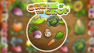 Cream of the Crop spilleautomater Rival  topp-norsk-casino.com