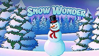 Snow Wonder spilleautomater Rival  topp-norsk-casino.com